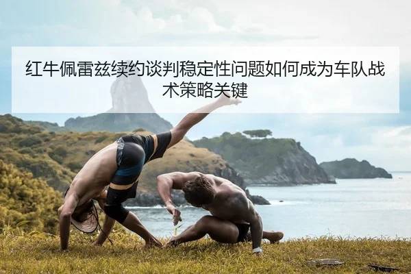 hong-niu-pei-lei-zi-xu-yue-tan-pan-wen-ding-xing-wen-ti-ru-he-cheng-wei-che-dui-zhan-shu-ce-lve-guan-jian-2-389.jpg