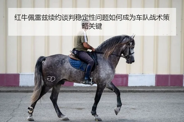 红牛佩雷兹续约谈判稳定性问题如何成为车队战术策略关键